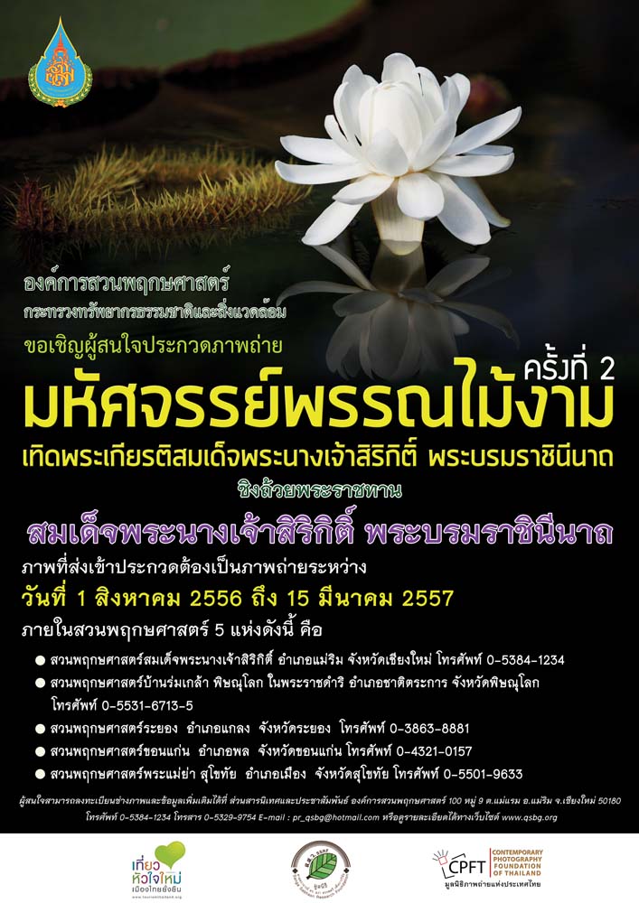 บันทึกภาพประทับใจ สัมผัสมหัศจรรย์พรรณไม้ พักผ่อนกายใจในสวนพฤกษศาสตร์